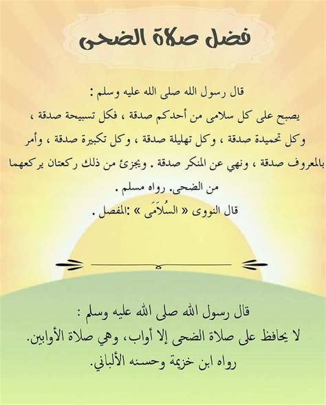 ((وذلِكَ حين التَّسبيح)) ، أي: فضل صلاة الضحى - حلول ويب