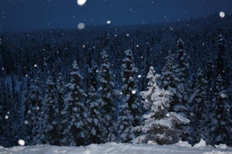 Snowy Winter Night 2 Free Photo Download Freeimages