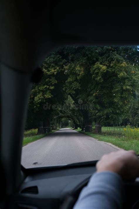 Man Driving A Car Through A Forest Road Stock Image Image Of Back