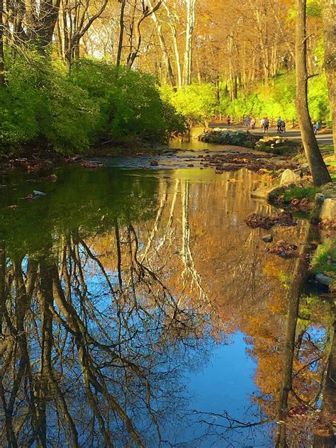 Serene Water Autumn Reflections Photograph By Blair Seitz Fine Art America