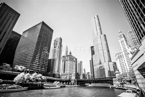 Art Print And Stock Photo Chicago Skyline Black And White Photography