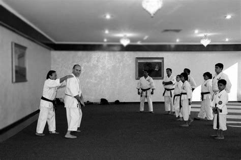 Master Oscar Higa Karate Do Photos From Kyudokan Seminar In Mexico 2