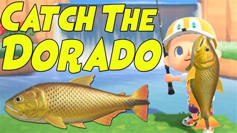 Not currently collectable from recreational spots. How to Catch the DORADO in Animal Crossing New Horizons ...