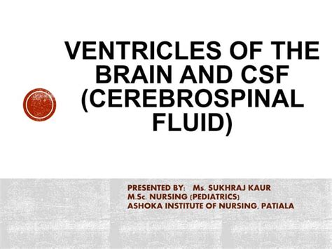 Ventricles And Csf Ppt