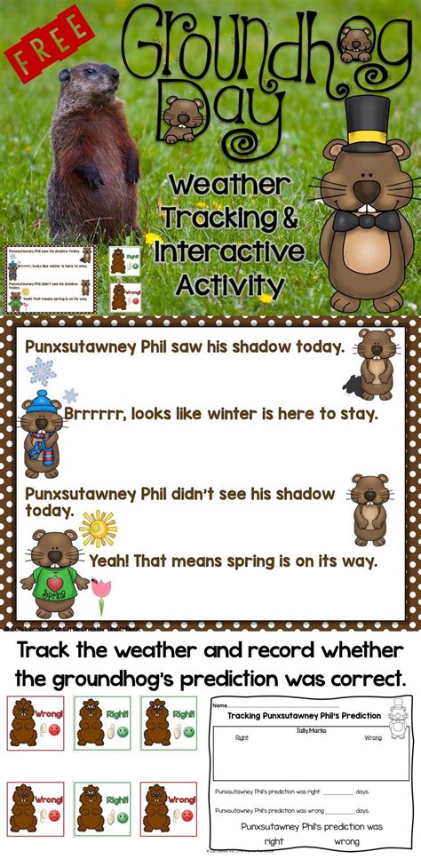 Was Punxsutawney Phils Weather Prediction On Groundhog Day Right Keep