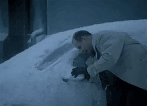 Snow  Find And Share On Giphy