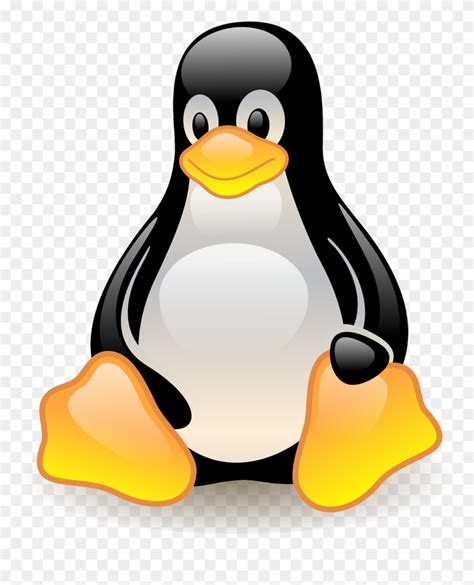 Linux Linux Penguin No Background Clipart 353380 Pinclipart