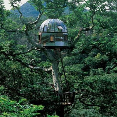 Worlds Most Amazing Tree Houses Gallery Ebaums World