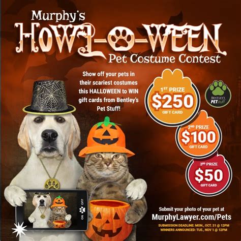 Murphys Halloween Pet Costume Contest Murphy Lawyer