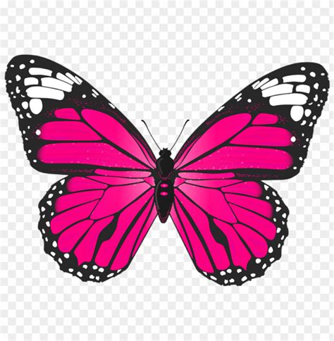 To created add 41 pieces, transparent butterfly images of your project files with the background cleaned. Download pink butterfly png - Free PNG Images | TOPpng