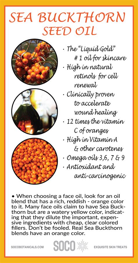 Sea Buckthorn Oil Blend Skincare Ingredient For Soco Symphony Anti