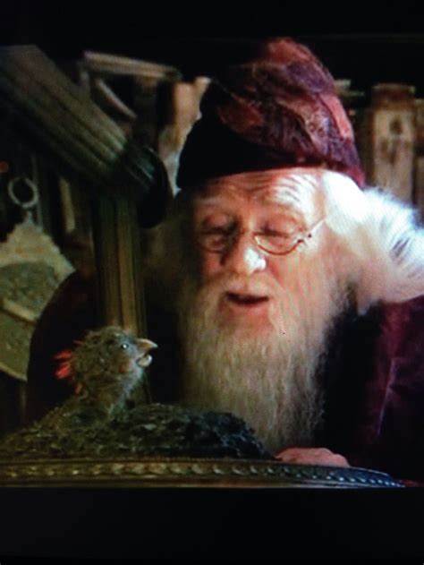Dumbledore and baby Fawkes. Chamber of Secrets | Chamber of secrets ...