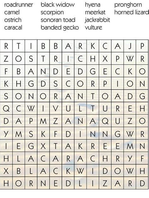Desert Word Search Word Games Gym Games For Kids