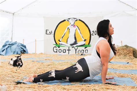 They are super comfortable, to the point where when i get home i don't want to take. Evolve Fit Wear Partners with Goat Yoga's Lainey Morse for ...