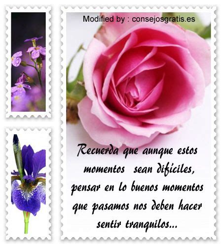 A Pink Rose And Some Purple Flowers On A White Background With Spanish