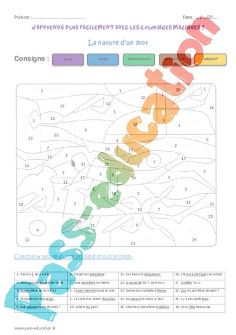 Coloriage magique Nature et fonction  CM2  Cycle 3  Pass Education