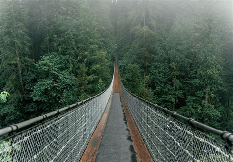 how to get the best photos at capilano suspension bridge photo tips and other information