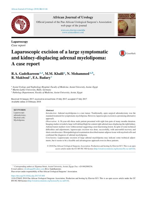 PDF Laparoscopic Excision Of A Large Symptomatic And Kidney Displacing Adrenal Myelolipoma A