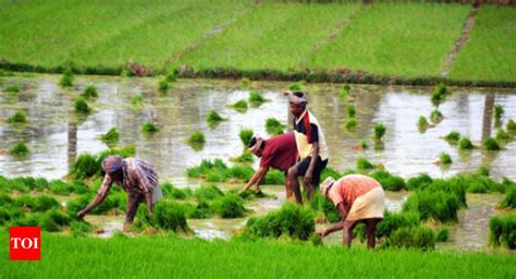 Border Villages In Assam Resume Farming After A Decade Guwahati News