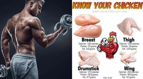 The Benefits Of Chicken Protein For Muscle Growth Your Gym Guides