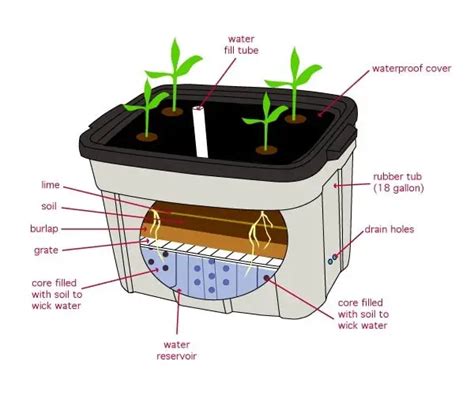 How To Build Hydroponic Systems For Top Yields The Gardener