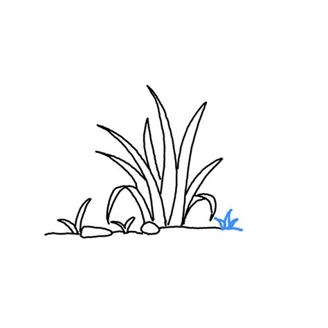 How To Draw Grass Step By Step Easy Drawing Guides Drawing Howtos