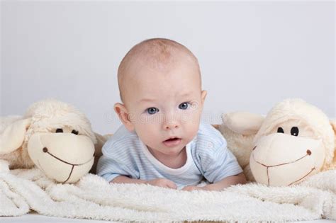 Portrait Of Sweet Little Baby Boy Stock Image Image Of Lifestyle