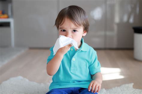 Allergies In Toddlers All You Need To Know