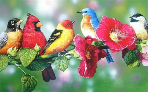 Free Download Birds On Spring Branch Pretty Bird Art
