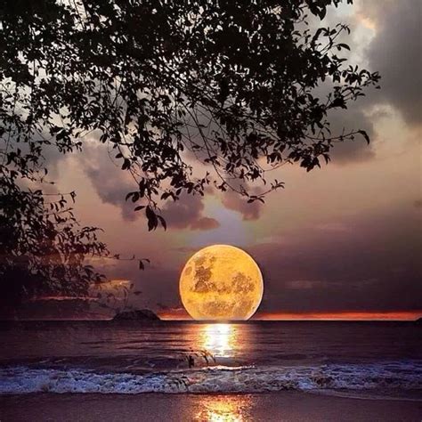Moonset At The Beach