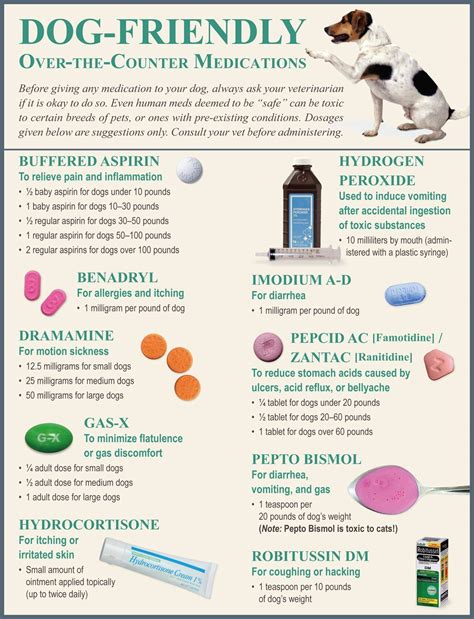 Allergy Relief For Dogs Excellent Article About Dogs That Is Simple