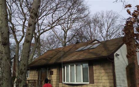 Ostvig tree care proudly serves these locations or areas. Tree Pruning Guide How care Tree Trimming average Best ...