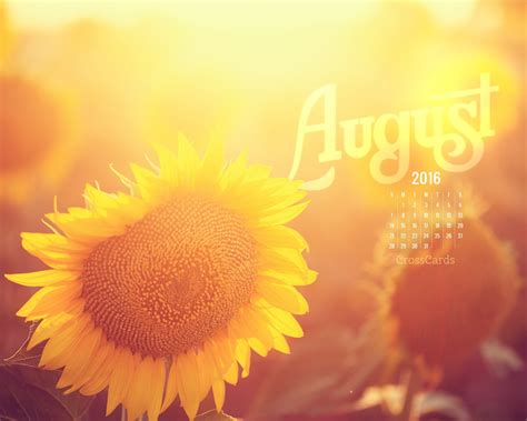 August 2016 Sunflower Desktop Calendar Free August Wallpaper