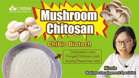 Plant Based Natural Ingredients Mushroom Chitosan Chibio Youtube