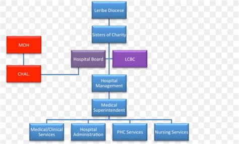 Nursing Organizational Chart For Hospitals Vrogue Co