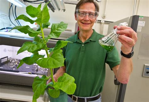 Fill ‘er Up With Tobacco Berkeley Lab Led Team Explores New Path To