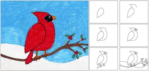 How To Draw A Cardinal Bird Step By Step For Beginners ~ Drawing