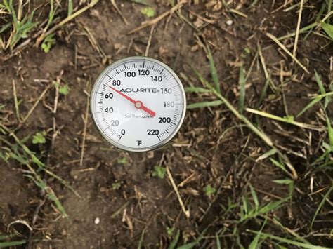 If you are planting seeds or new plants, take your measurement at the garden vegetable seed germination temperatures. Tip for Food Plot Success: Wait On Warmer Soil | Hunting ...
