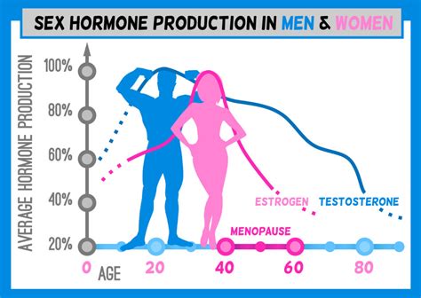 Cbd And Balancing Hormones Dutch Cbd Farmers