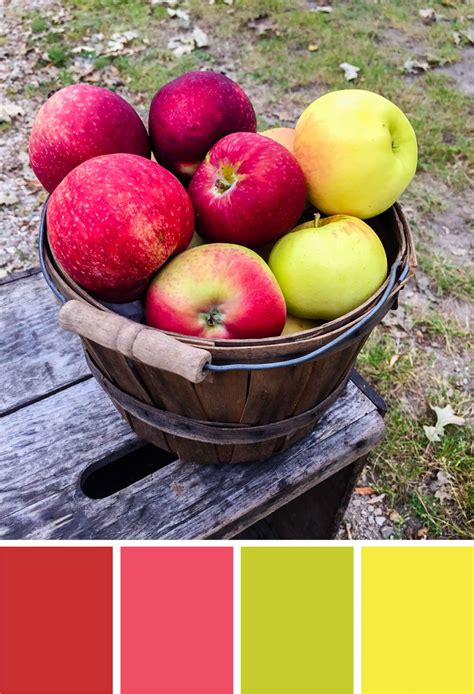 Apple Color Palette Ladegintel