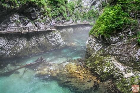 14 Best Places To Visit In Slovenia For Nature And History