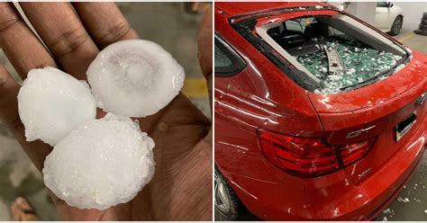 Jenny koch, the zoo's marketing director, said a vulture and a duck were killed by the hail. Alberta Storm Brought 'Baseball' Sized Hail Which ...