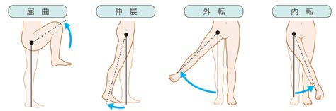【変形性股関節症】正しい股関節・開脚ストレッチのやり方 ...