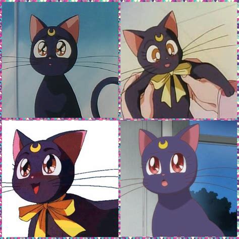 Luna From Sailor Moon Sailor Moon Sailor Black Cat