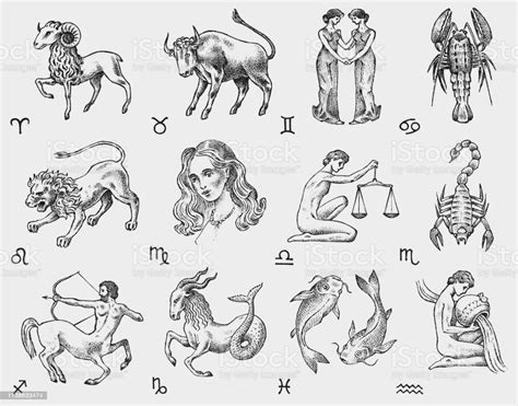 Each year is represented by an animal. Zodiac Icons Astrology Horoscope With Signs Calendar Template Collection Outline Animals Vintage ...