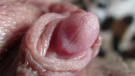 Pulsing Hard Clitoris In Extreme Close Up Pornhub