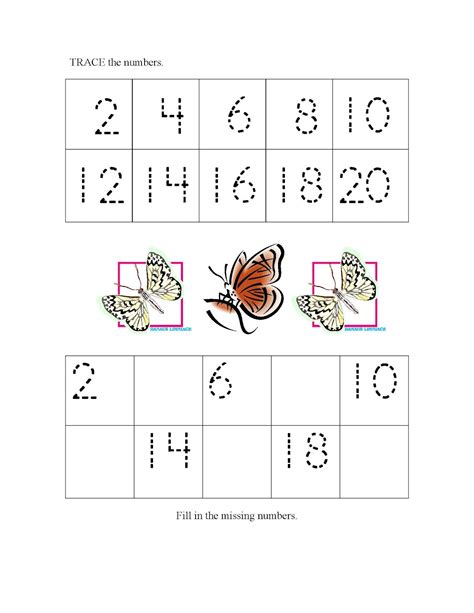 Count By 2s Worksheets Activity Shelter