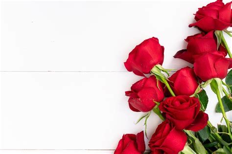 Image Mix Web Images Red Roses White Background Valentines Stock