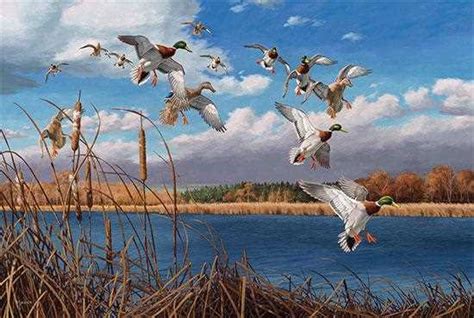 Ducks Unlimited Painting