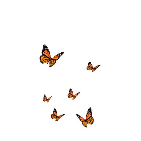 Vsco Butterflies Wallpapers Wallpaper Cave